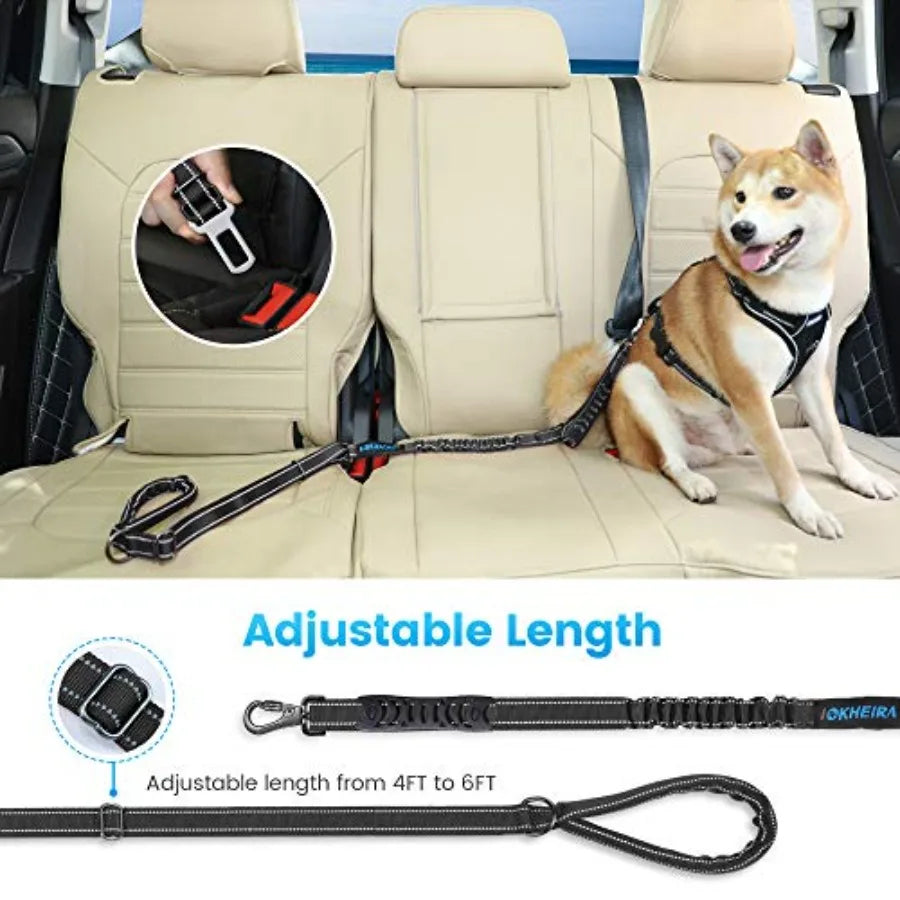 Heavy Duty Nylon Reflective Dog Leash With Comfortable Padded Handle