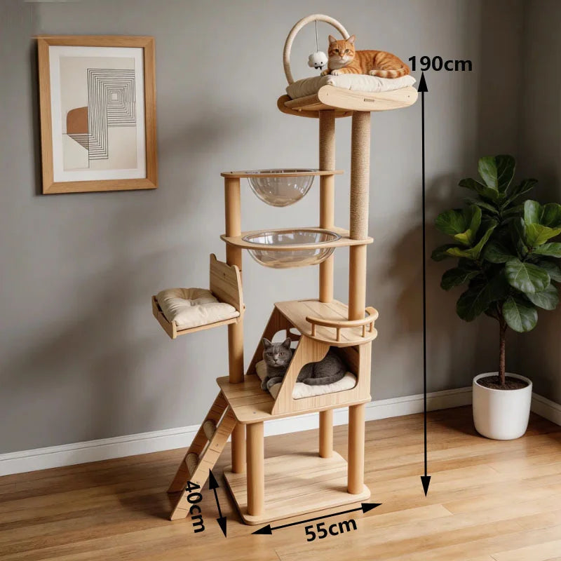 Indoor Cat Tree With Acrylic Pods And Premium Sisal Posts