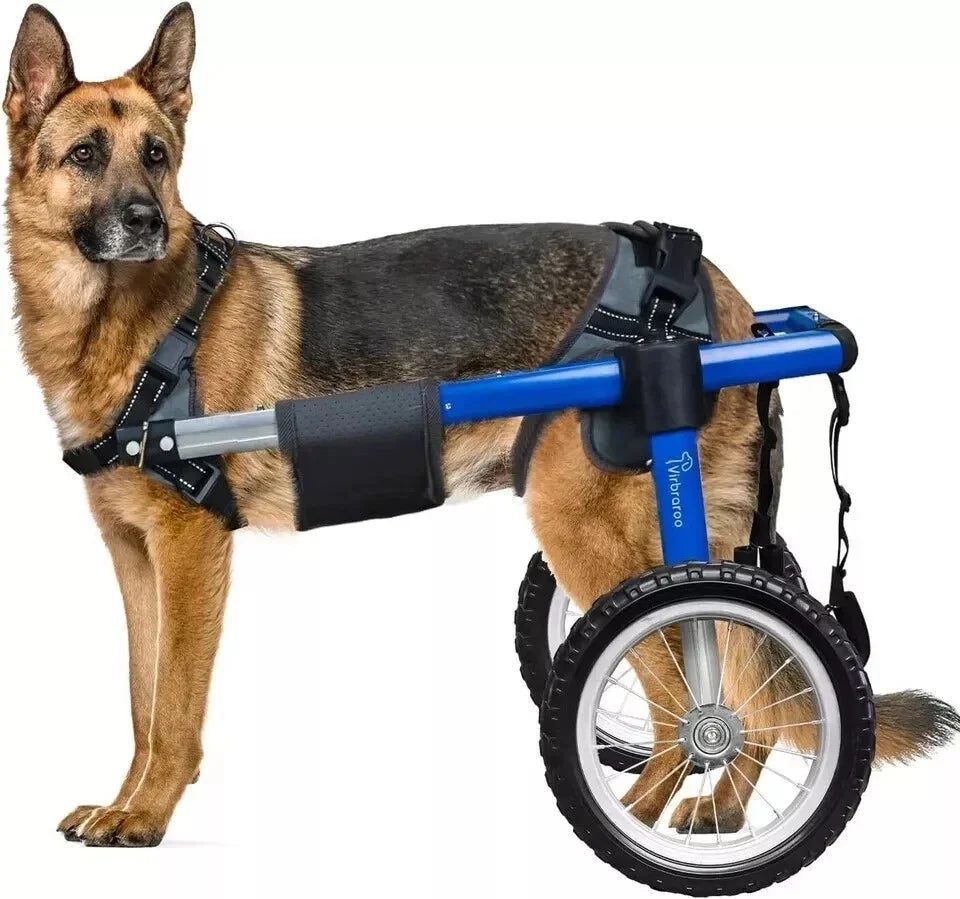 Dog Wheelchair For Back Legs With All Terrain Tires