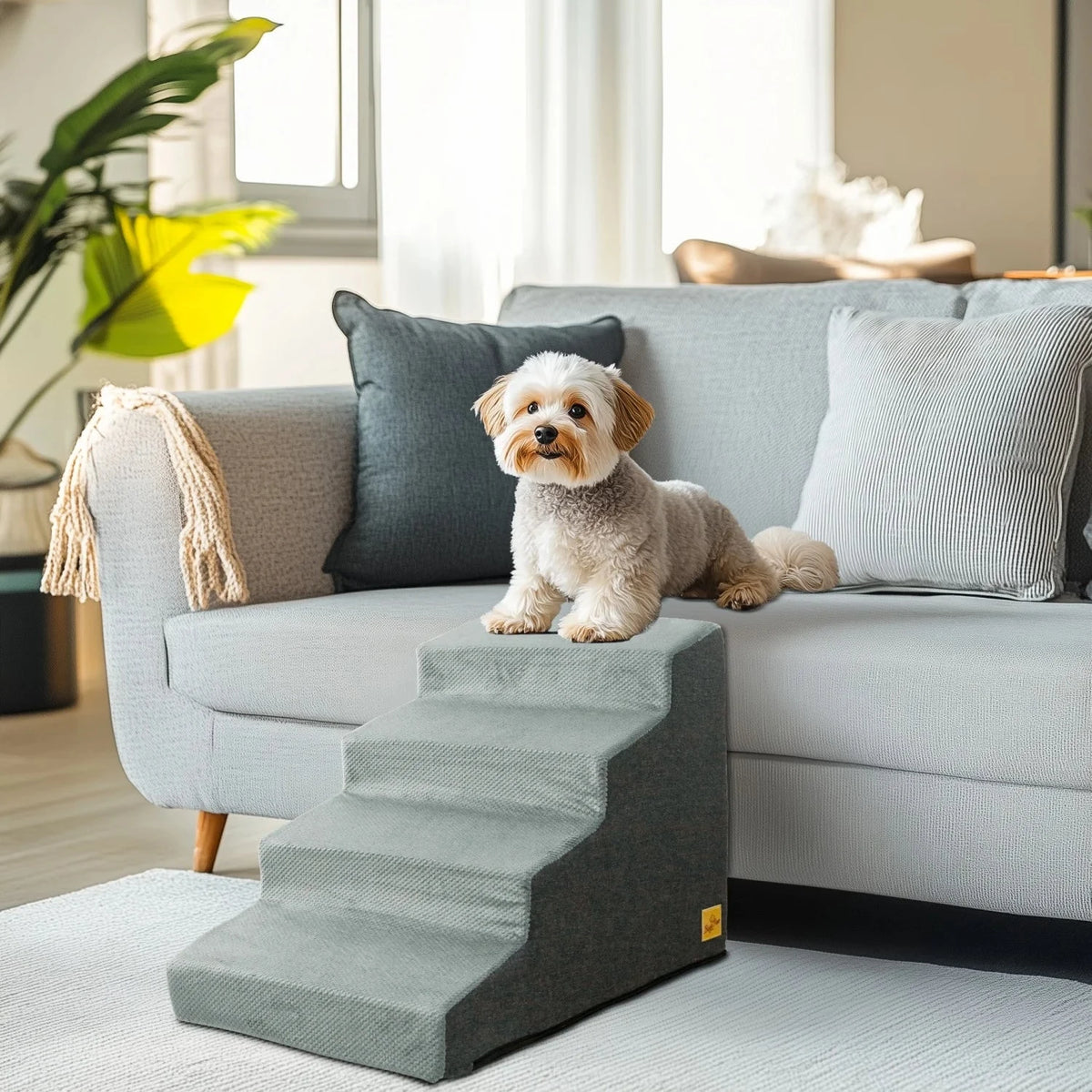 Pet Ramps & Stairs