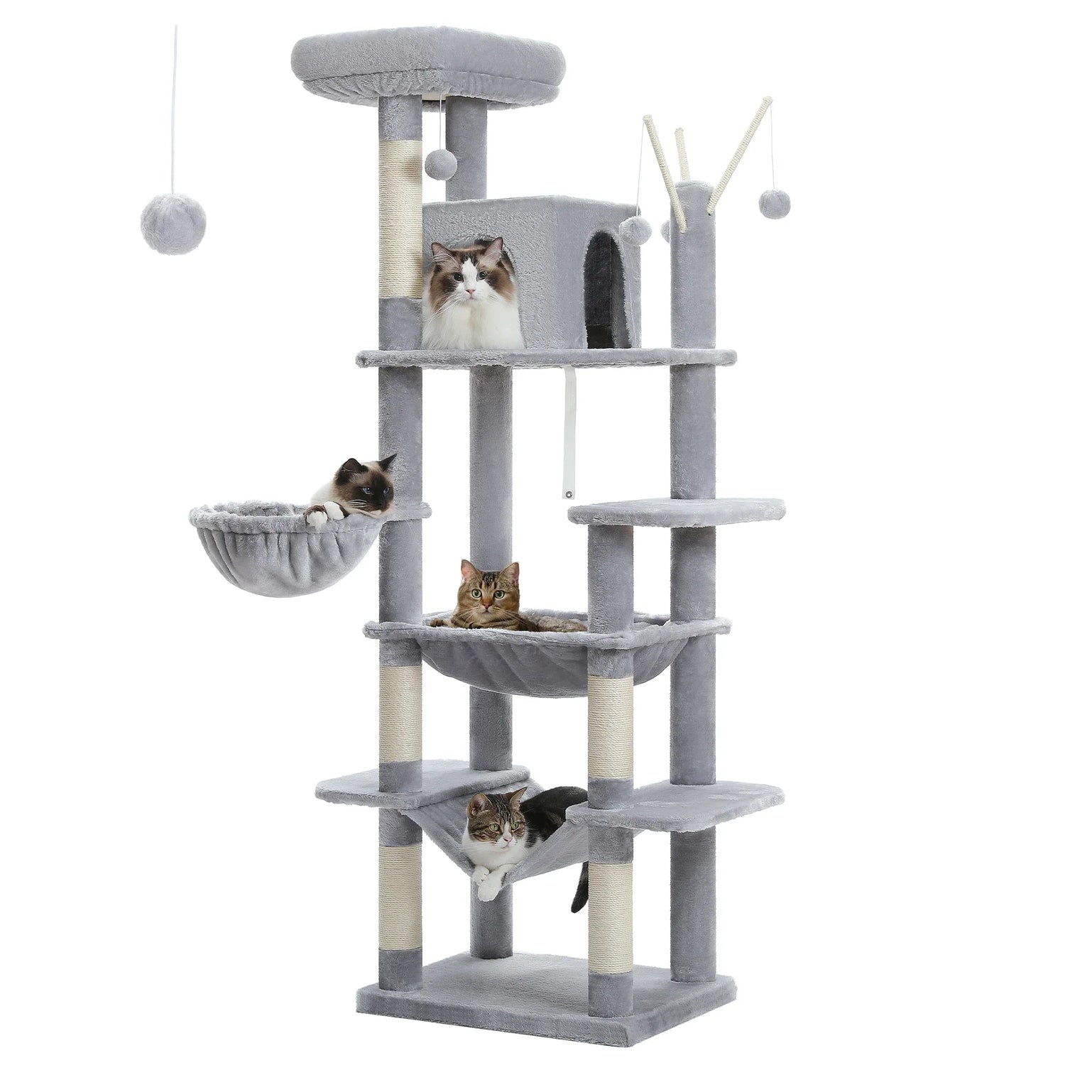 Cat Towers & Beds