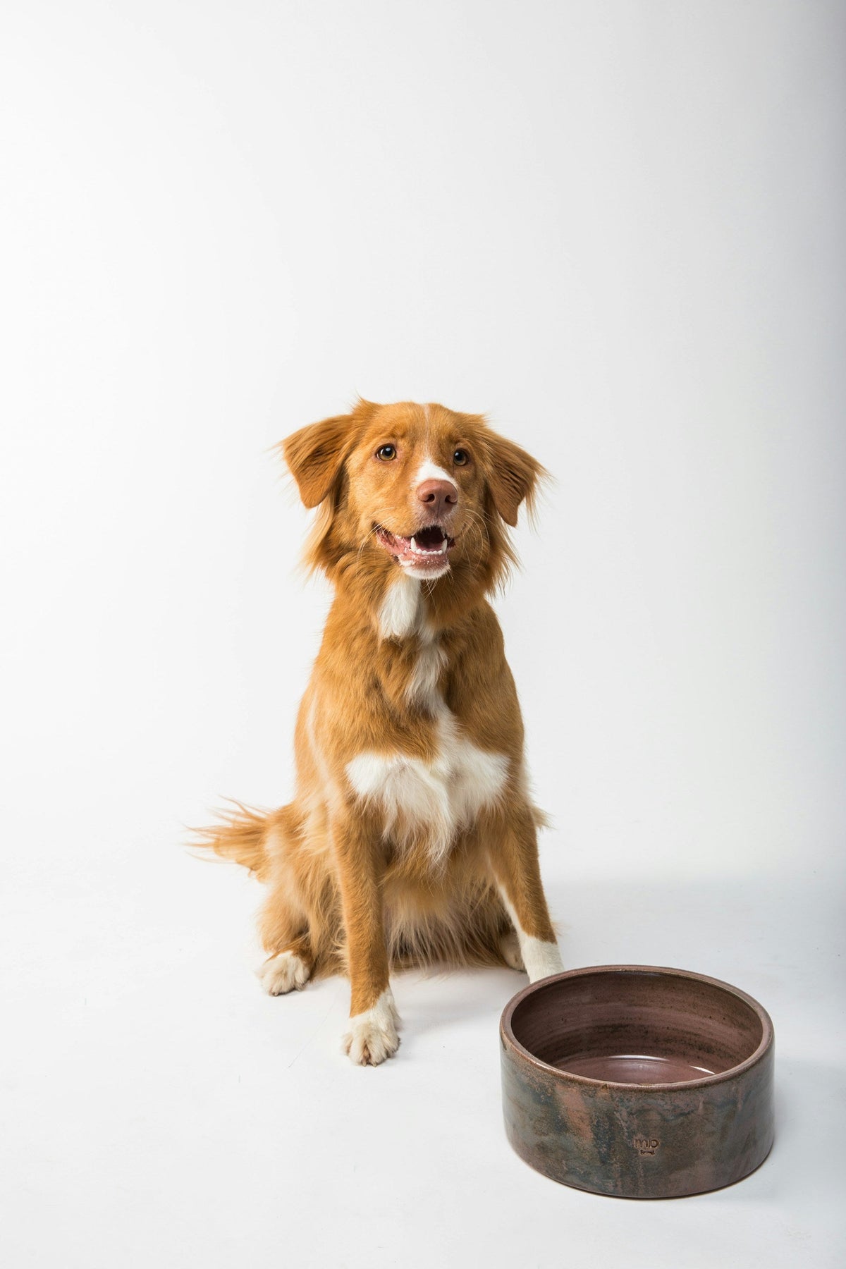 Feeders & Bowls