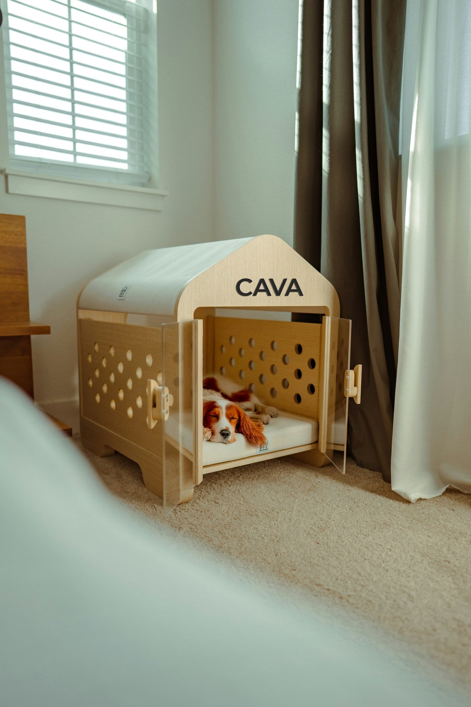 Dog Crates & Kennels