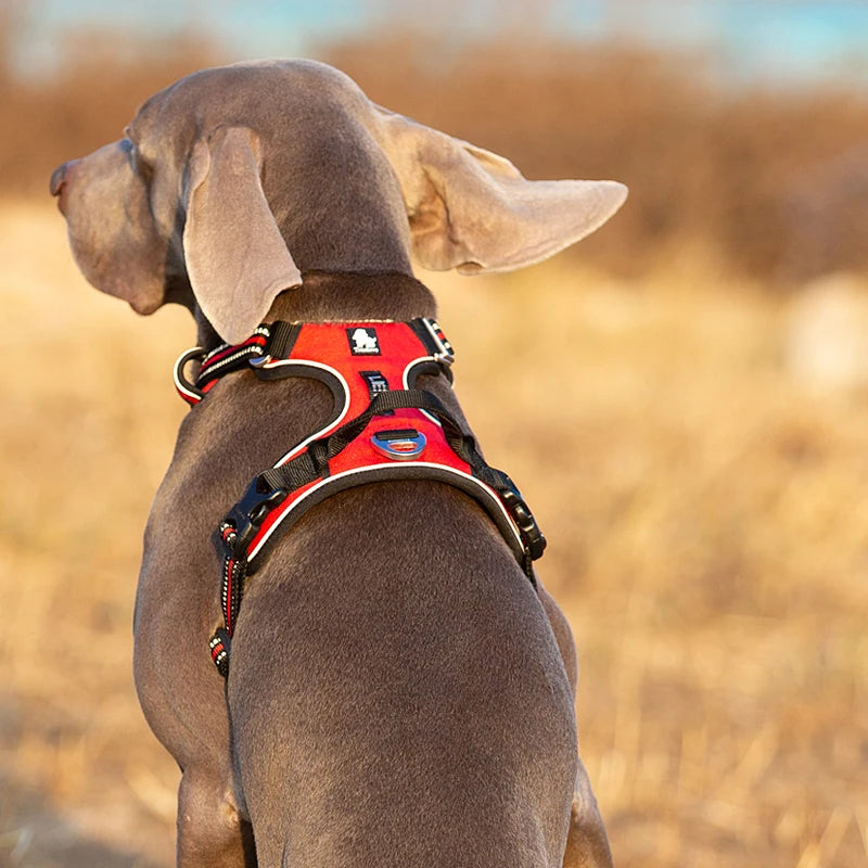 TRUELOVE Reflective Adjustable No Pull Dog Harness for Walking Safety