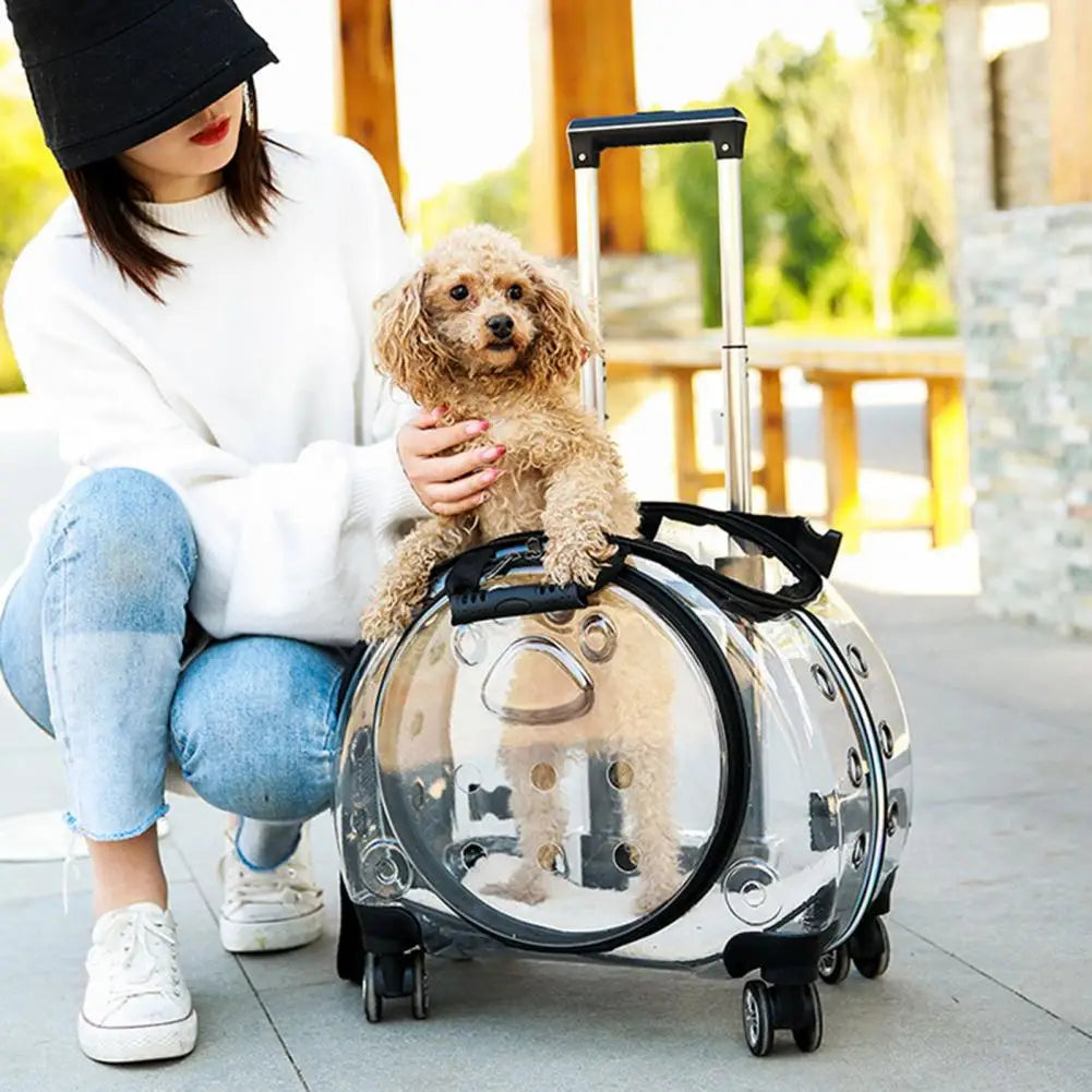 Pet Rolling Carrier Backpack With Ventilation And Silent Wheels