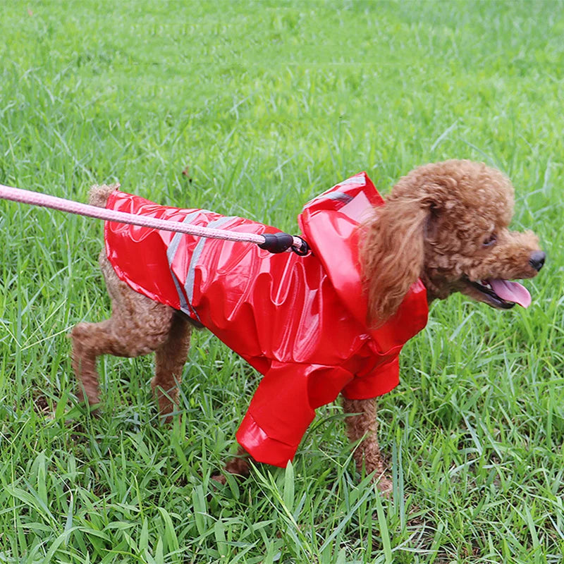 Waterproof Pet Raincoat With Reflective Hood For Small Pets
