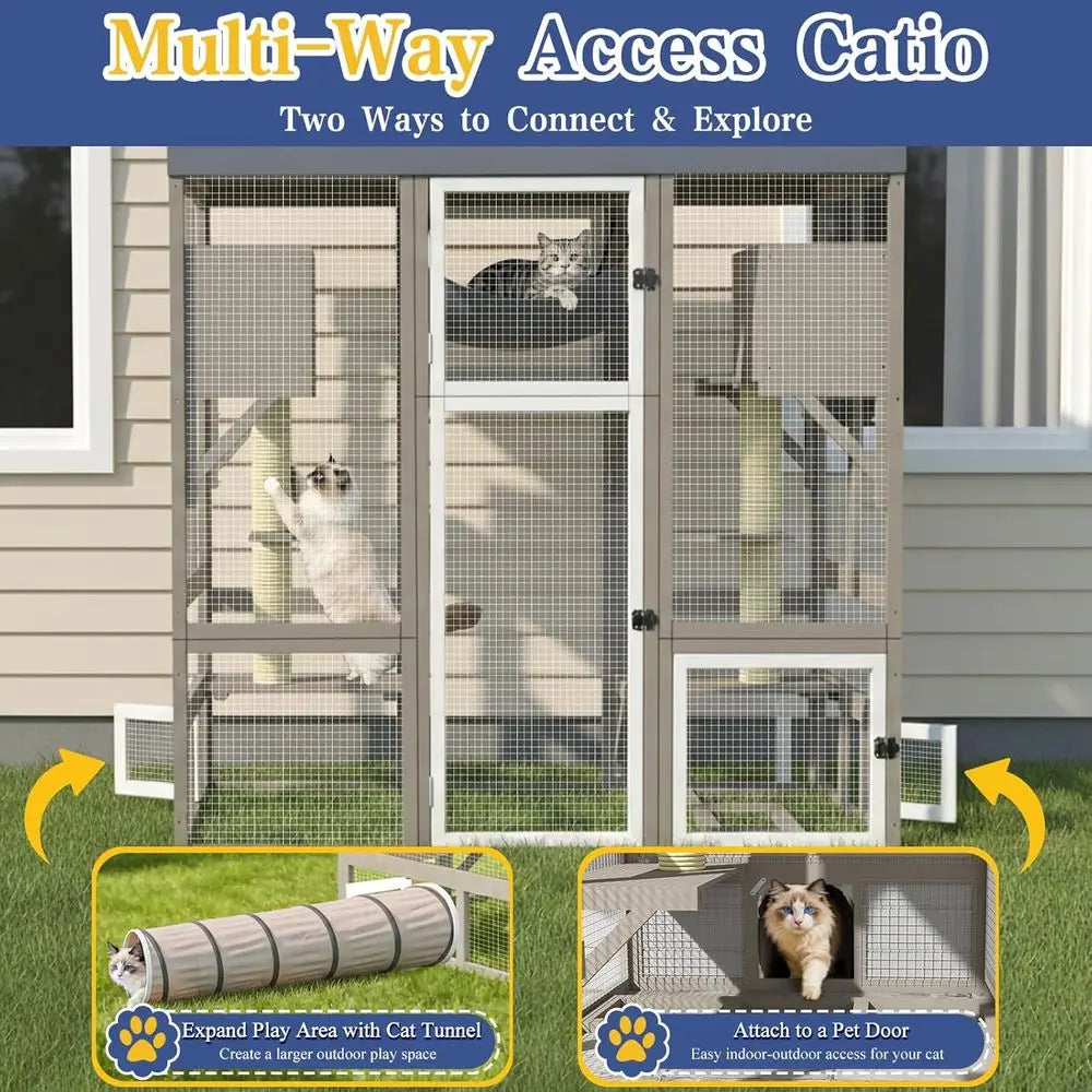 Walk In Outdoor Cat Enclosure With Multiple Platforms And Hammock