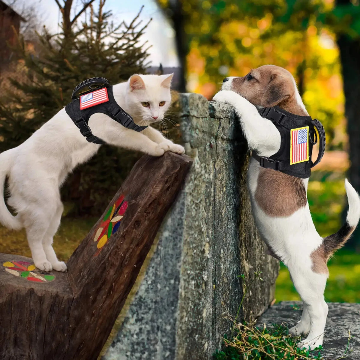 Adjustable Nylon Tactical Pet Harness And Leash Set