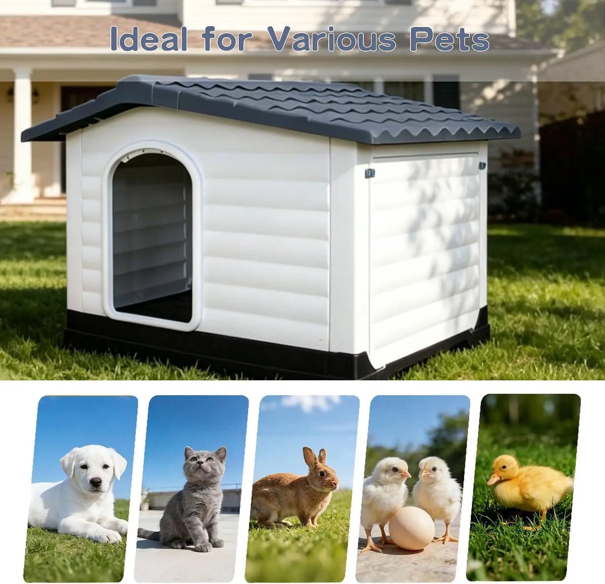 Twister Waterproof Two Door Dog House With Elevated Base