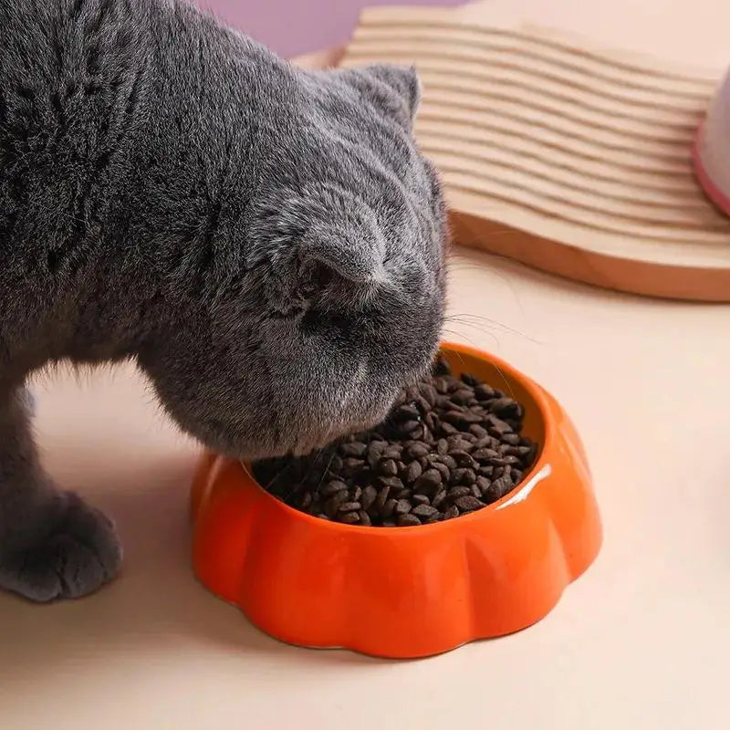 Watermelon Strawberry Ceramic Slow Feeder Bowl For Cats