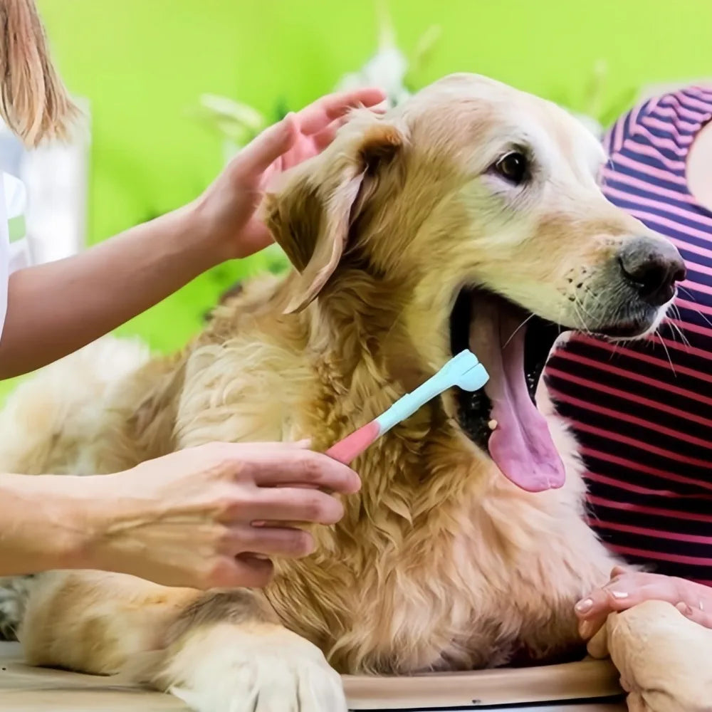 Triple Sided Pet Toothbrush For Dogs And Cats Dental Cleaner