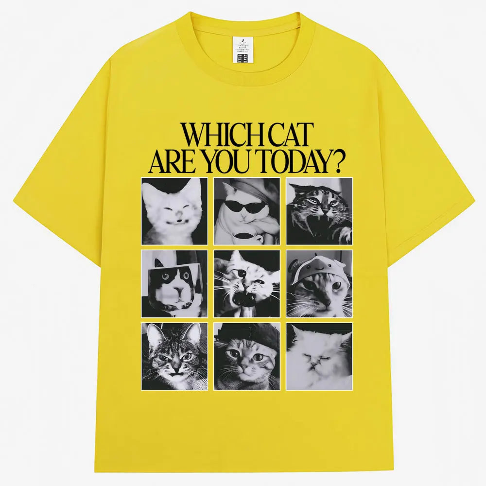 Funny Cat Meme Graphic T Shirt For Casual Everyday Wear