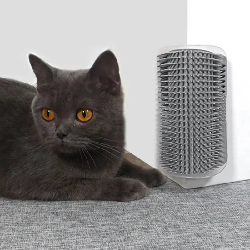Cat Scratcher Massage Comb With Catnip For Pet Grooming