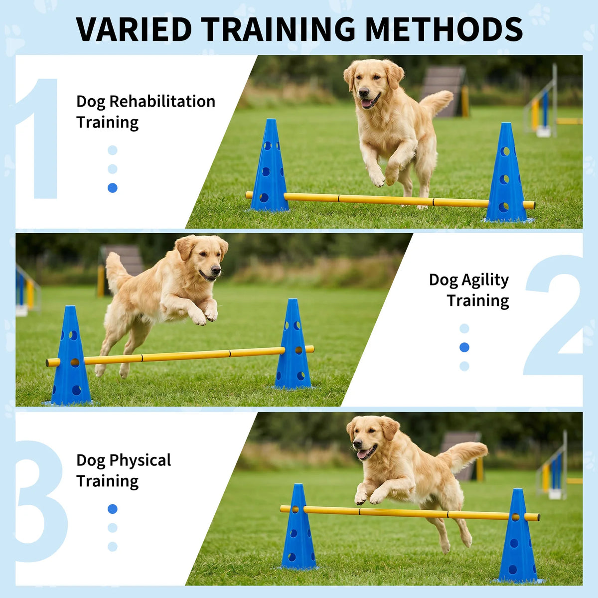 Dog Agility Training Set With Adjustable Hurdles And Training Cones