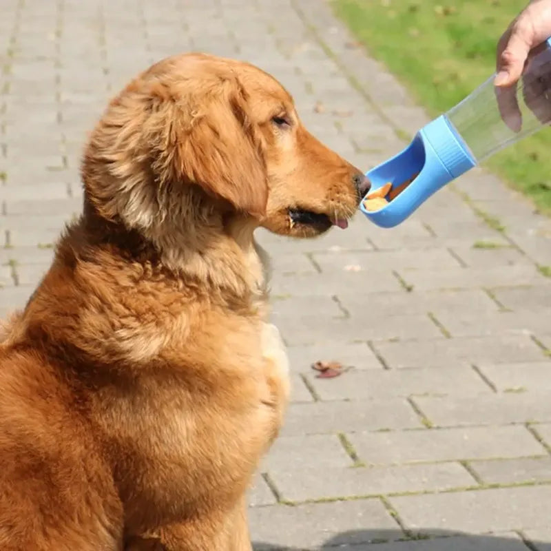 Portable Pet Travel Water Bottle With Integrated Food Container