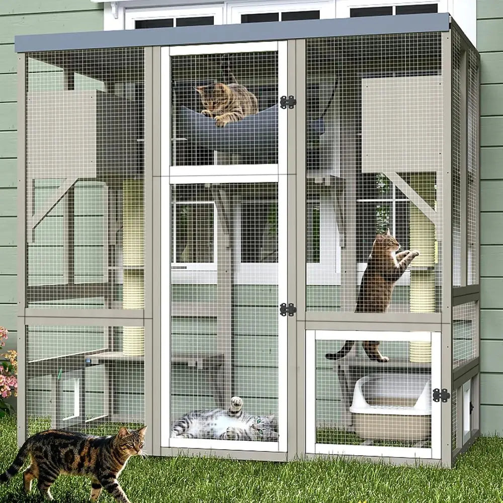Walk In Outdoor Cat Enclosure With Multiple Platforms And Hammock