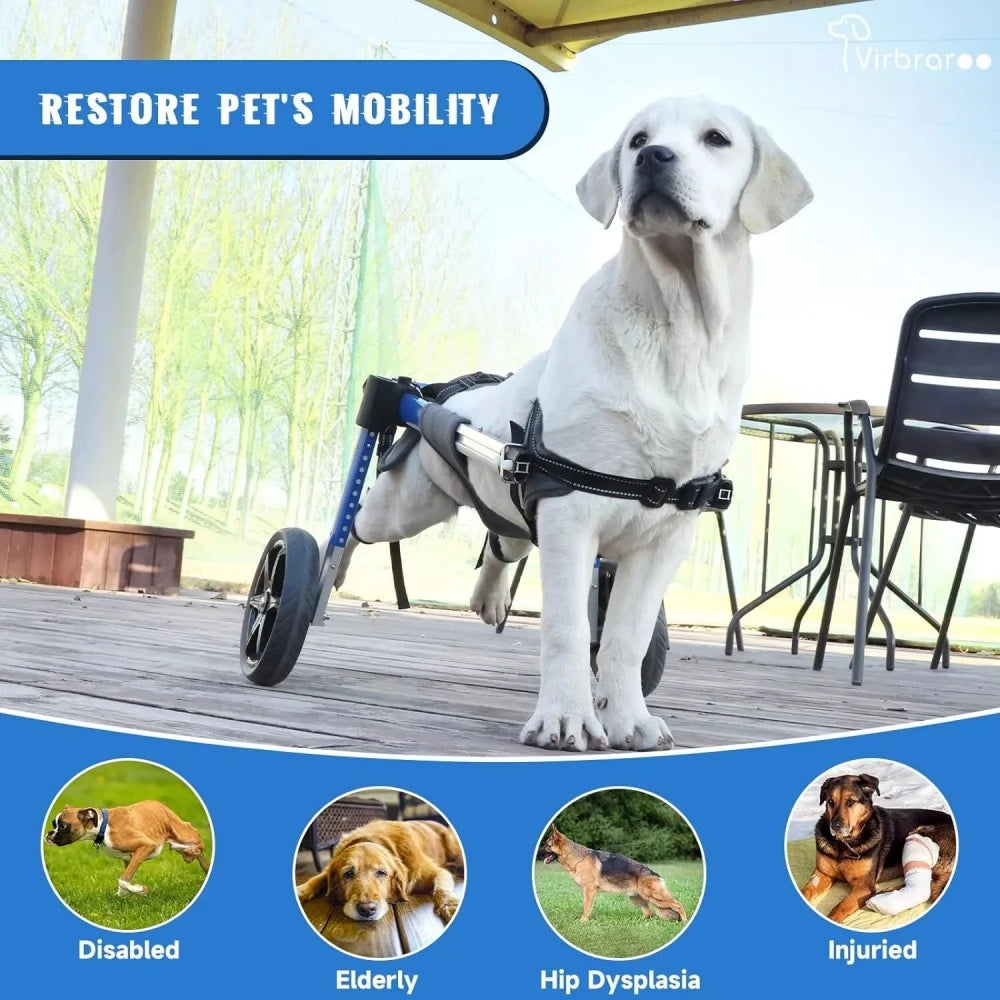 Dog Wheelchair For Back Legs With All Terrain Tires