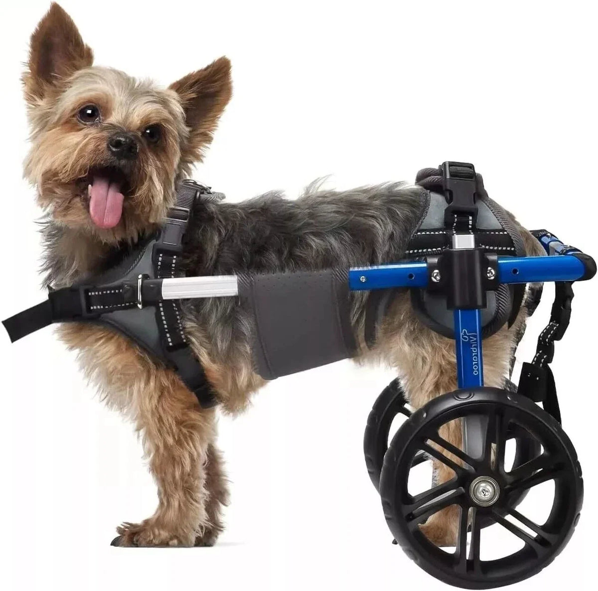 Dog Wheelchair For Back Legs With All Terrain Tires
