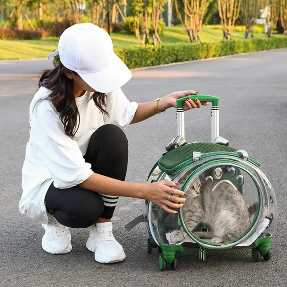 Pet Trolley Carrier Backpack With Clear Ventilation And Silent Wheels
