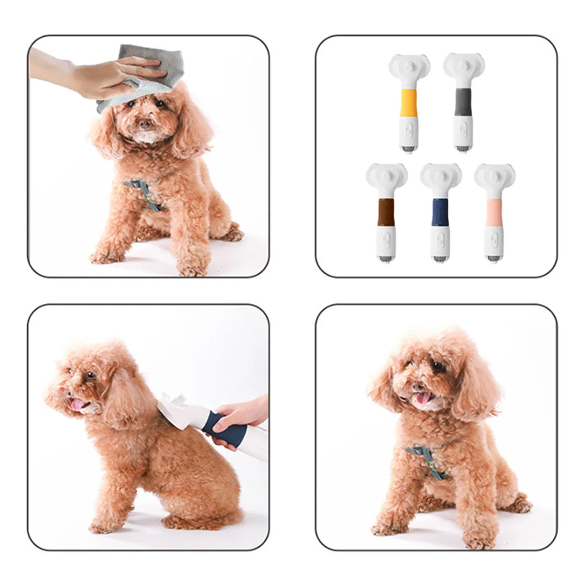 Three In One Pet Grooming Hair Dryer Brush For Dogs