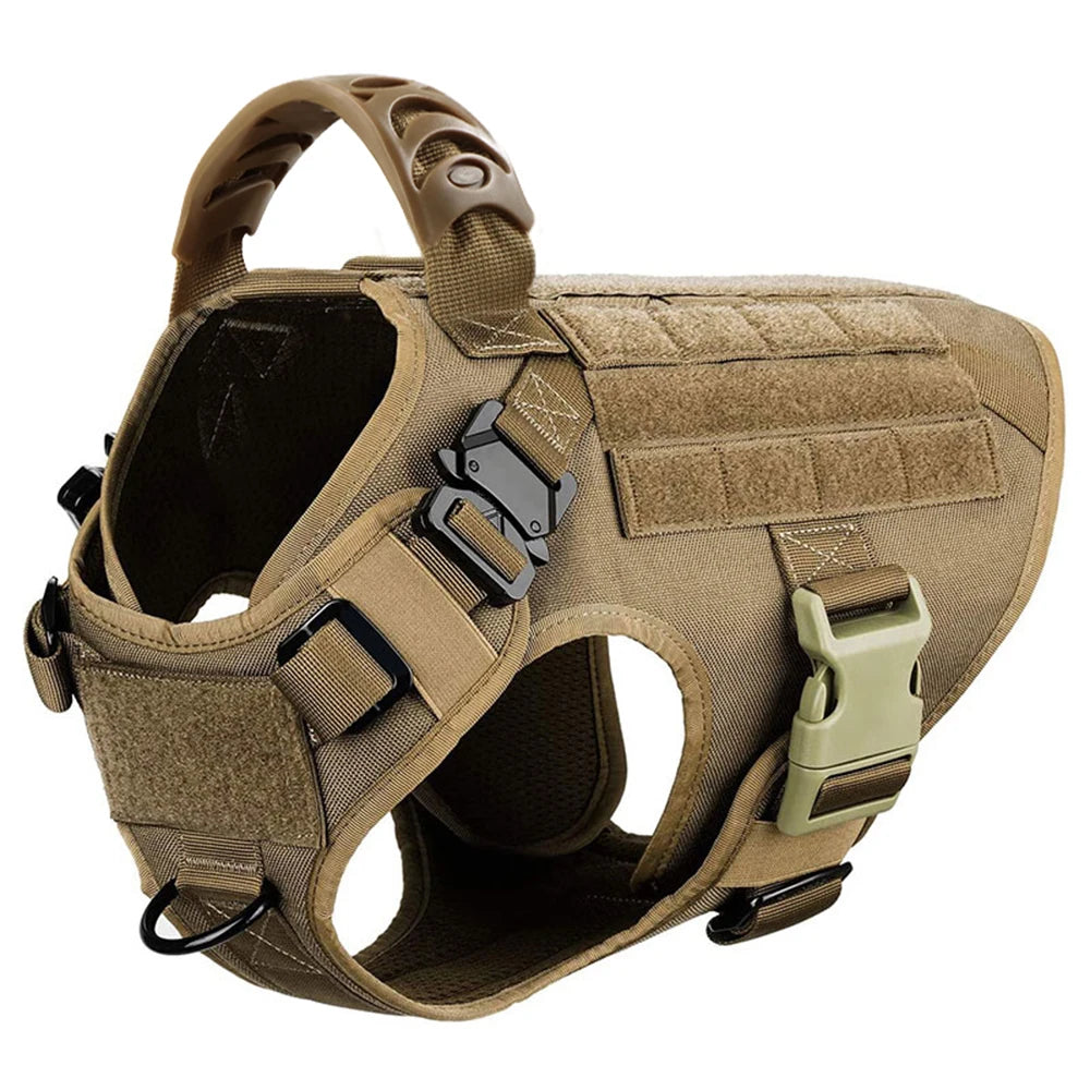 Padded Nylon Dog Harness And Leash Set With Buckle Closure