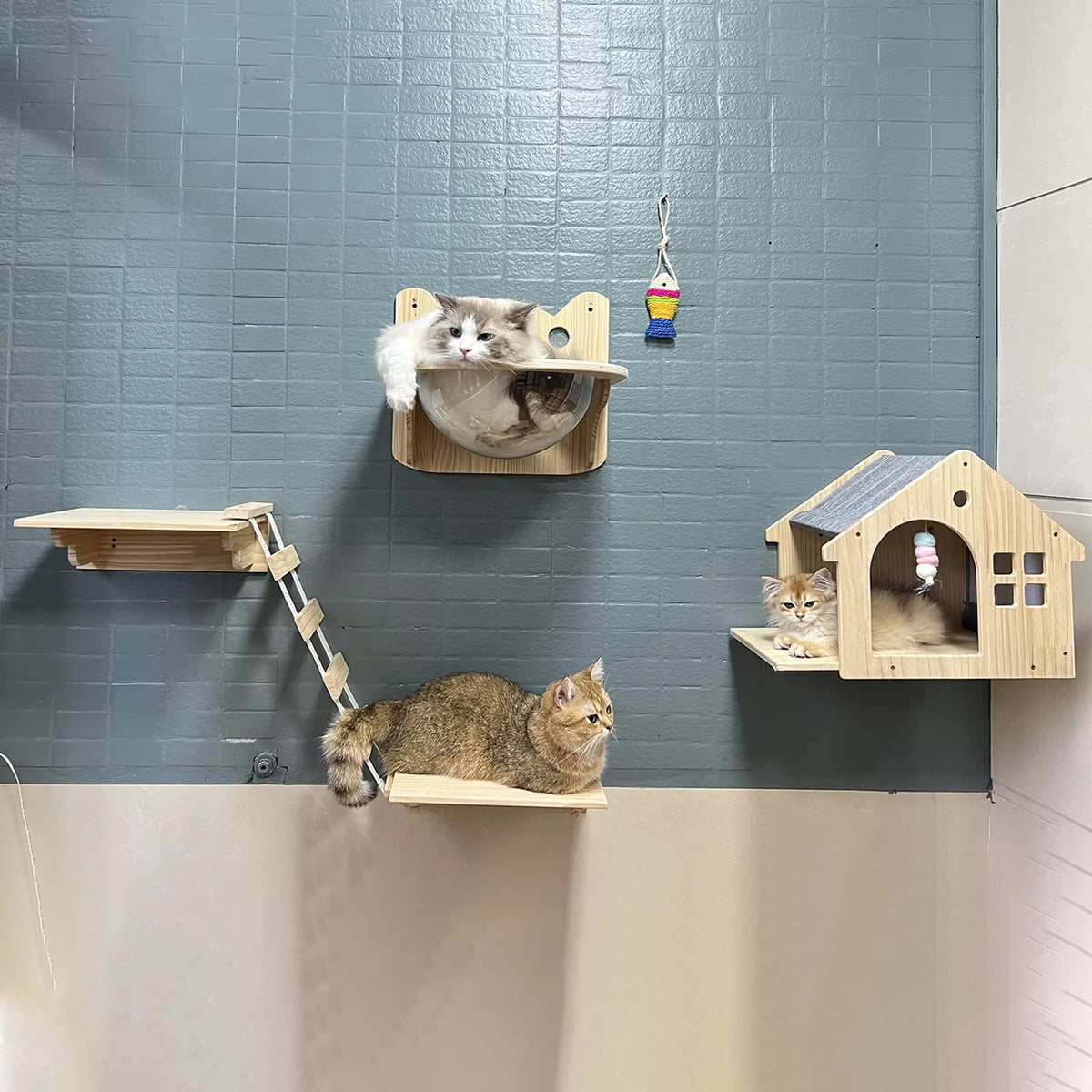 CWV Wooden Wall Mounted Cat Villa Climbing Shelf Unit