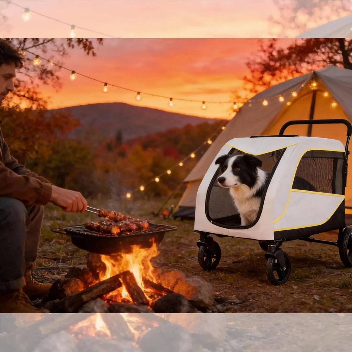 Dual Entry Dog Stroller With Secure Brake And Spacious Interior