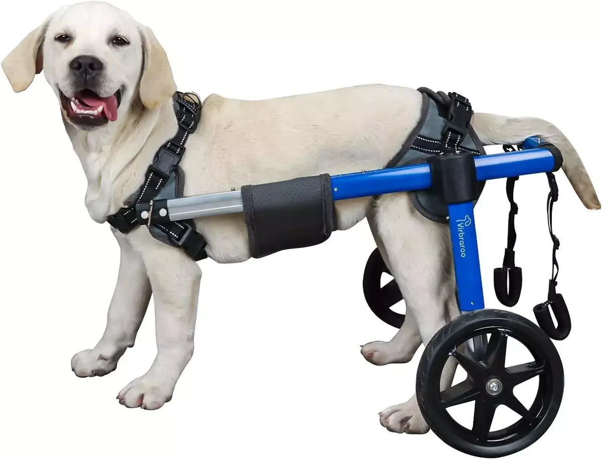 Dog Wheelchair For Back Legs With All Terrain Tires