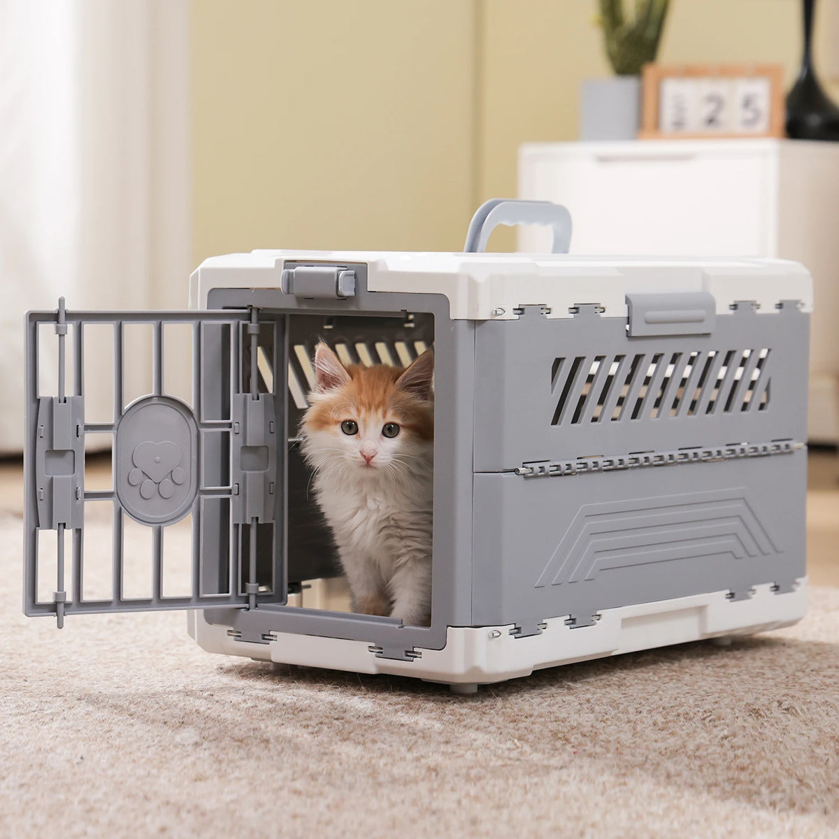 PAWZ Road Foldable Pet Travel Carrier With Secure Locking Door