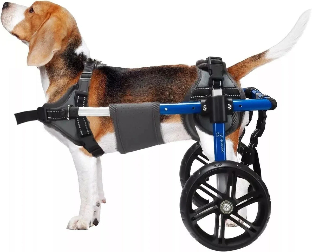 Dog Wheelchair For Back Legs With All Terrain Tires