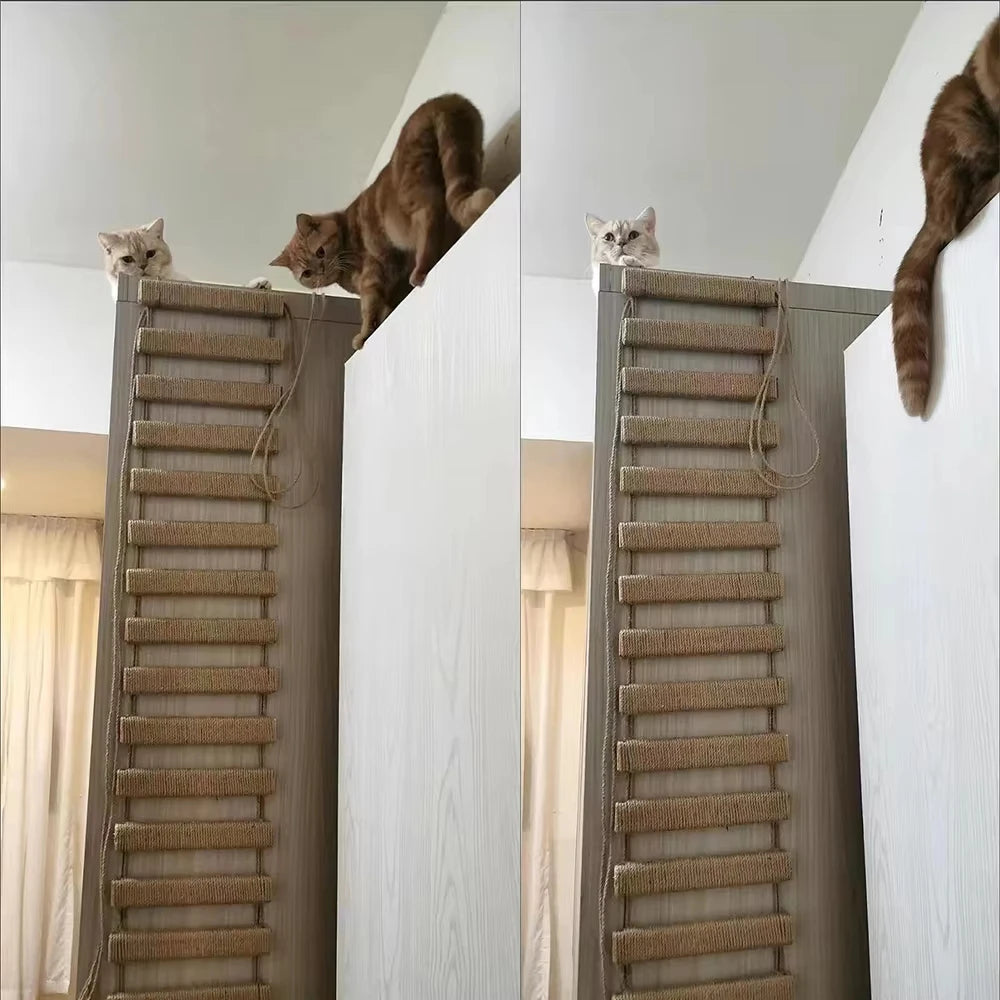 CWV Wooden Sisal Cat Bridge Ladder For Indoor Pets