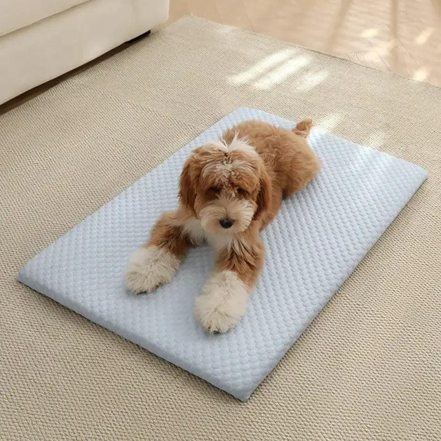 Comfortable Cooling Cat Bed With Thick Padding And Breathable Cotton