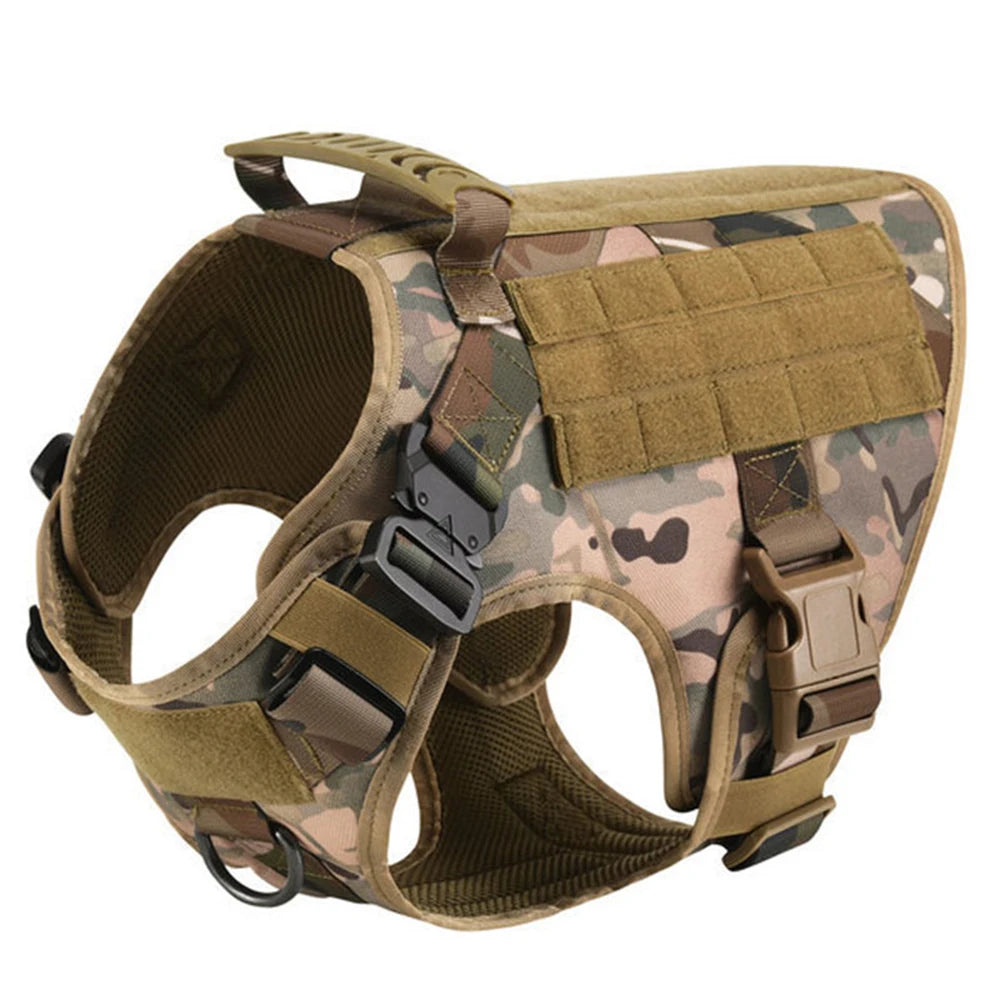 Padded Nylon Dog Harness And Leash Set With Buckle Closure