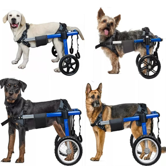 Dog Wheelchair For Back Legs With All Terrain Tires