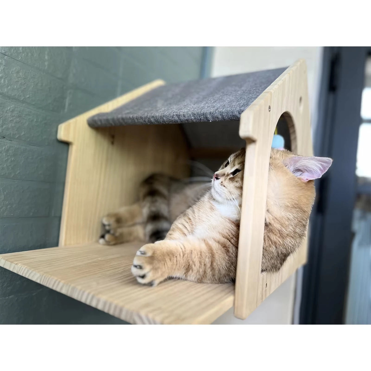 CWV Wooden Wall Mounted Cat Villa Climbing Shelf Unit