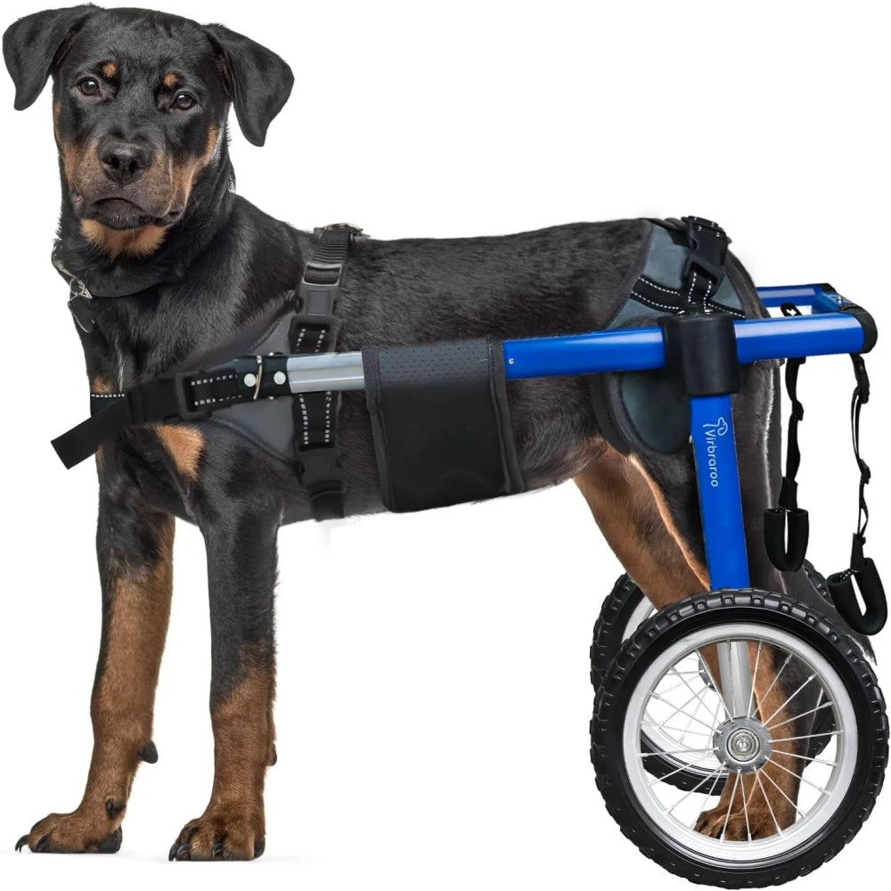 Dog Wheelchair For Back Legs With All Terrain Tires