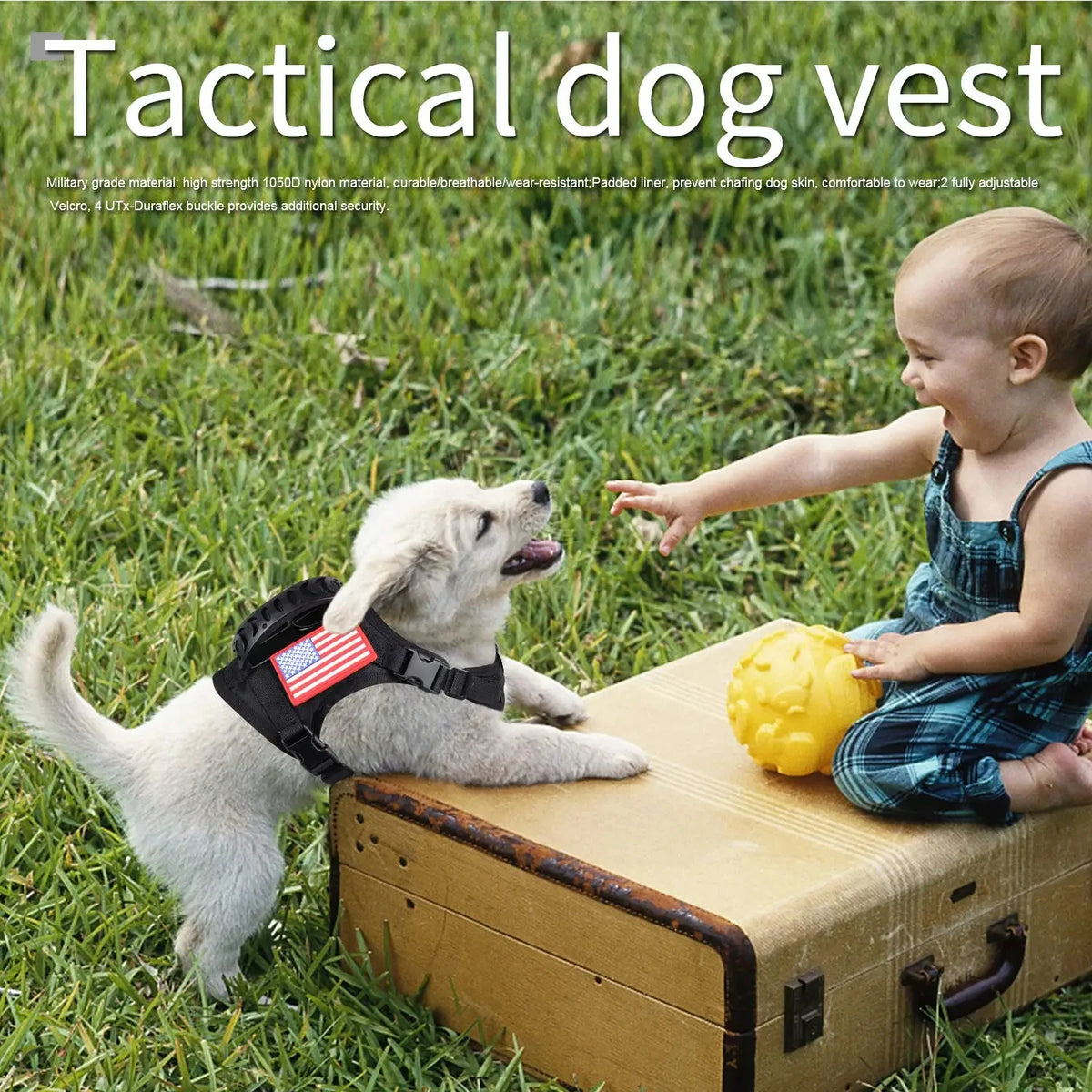 Adjustable Nylon Tactical Pet Harness And Leash Set