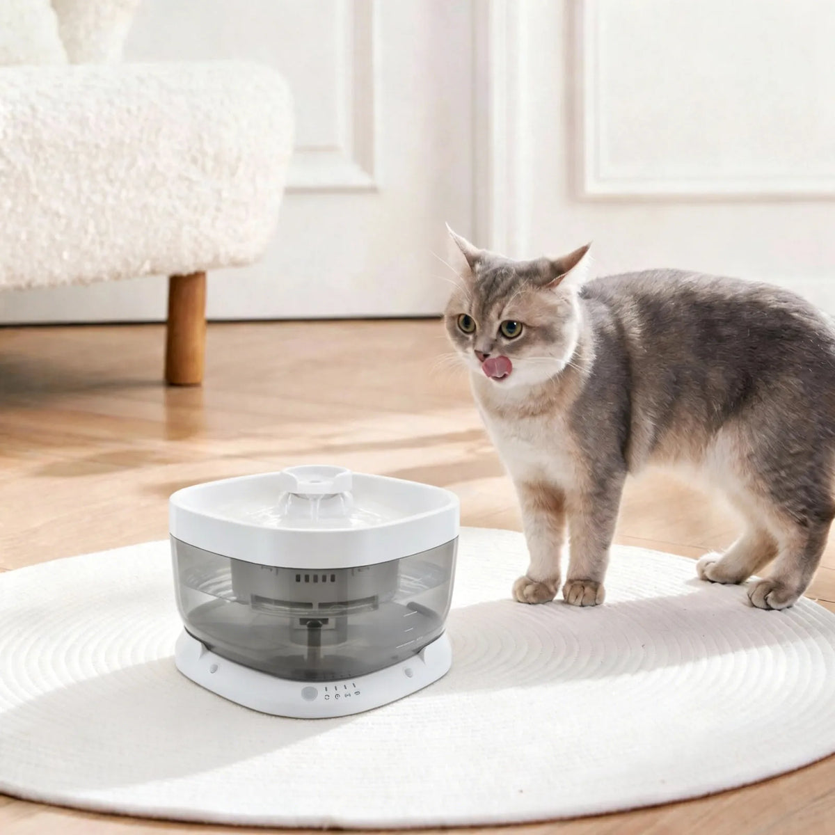 Rechargeable Pet Drinking Fountain With Silent Pump And Replaceable Filter
