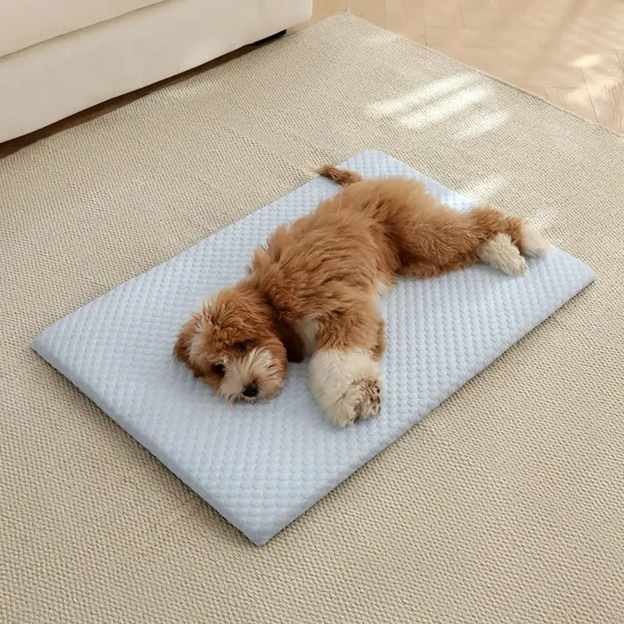 Comfortable Cooling Cat Bed With Thick Padding And Breathable Cotton