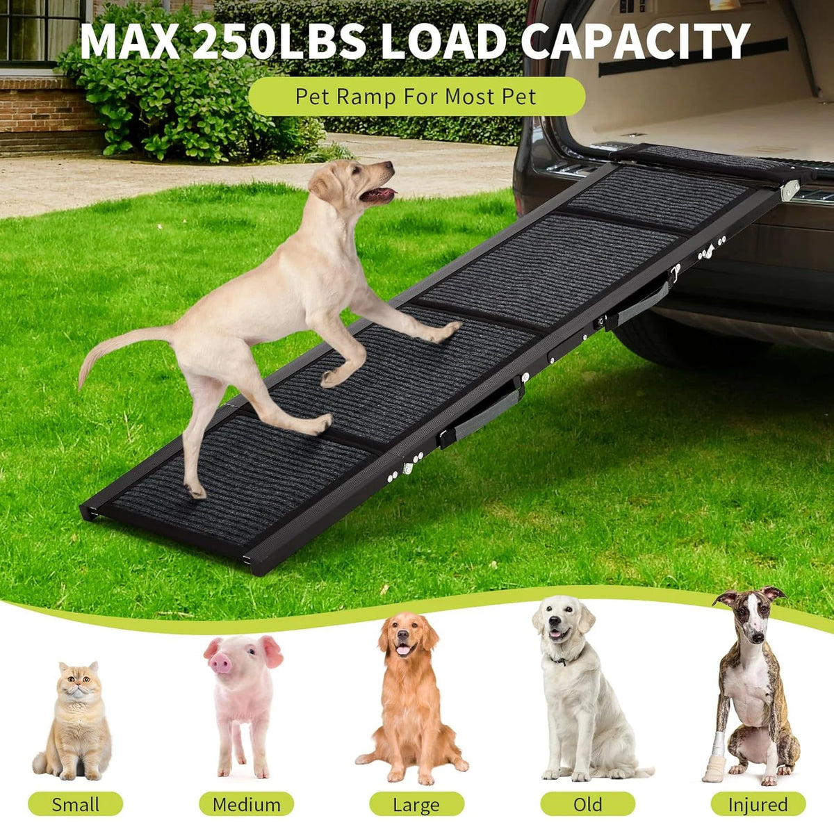 HiMISS Folding Dog Car Ramp Non Slip Heavy Duty Portable