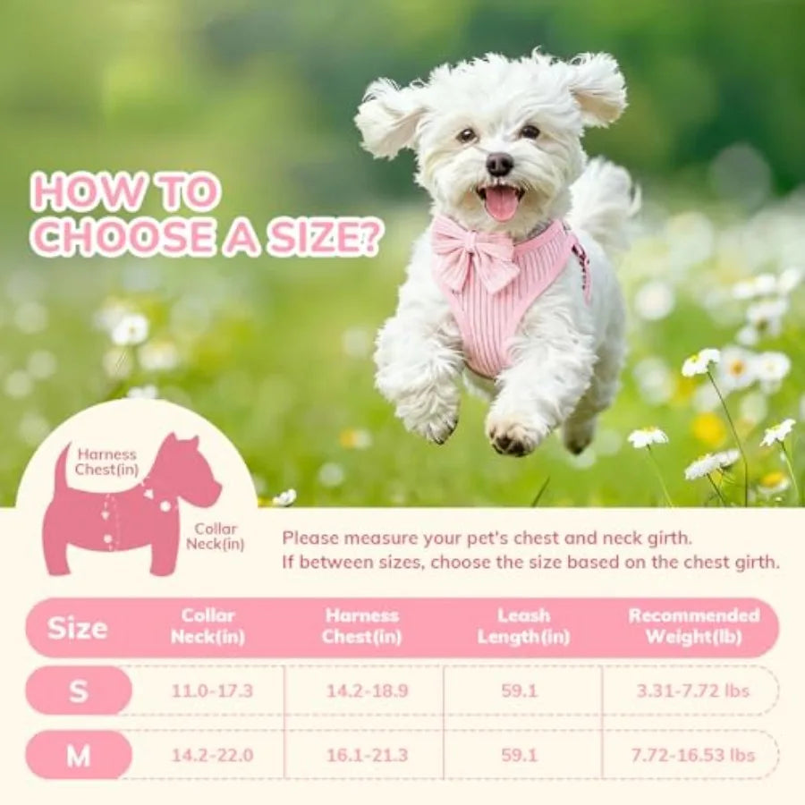 Adjustable Dog Collar Harness And Leash Set For Daily Walks
