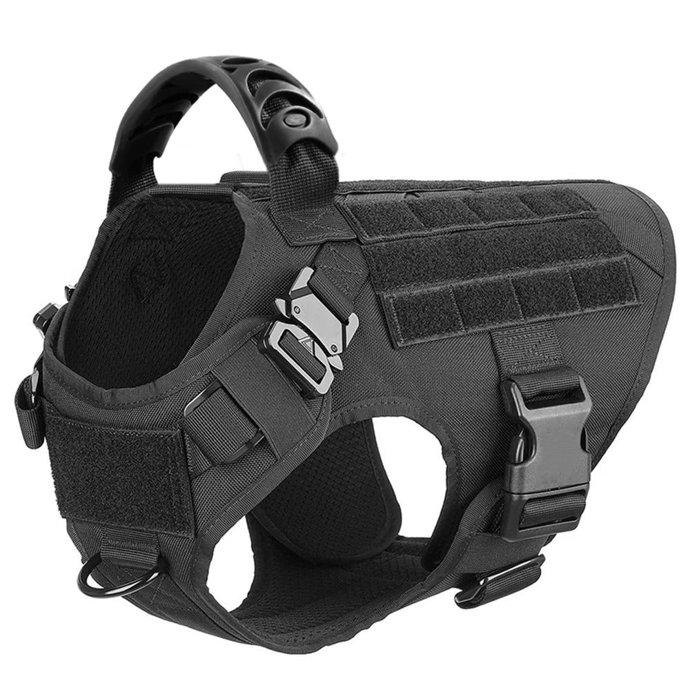Padded Nylon Dog Harness And Leash Set With Buckle Closure