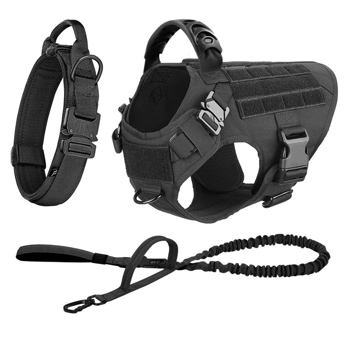 Padded Nylon Dog Harness And Leash Set With Buckle Closure