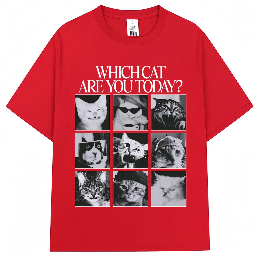 Funny Cat Meme Graphic T Shirt For Casual Everyday Wear