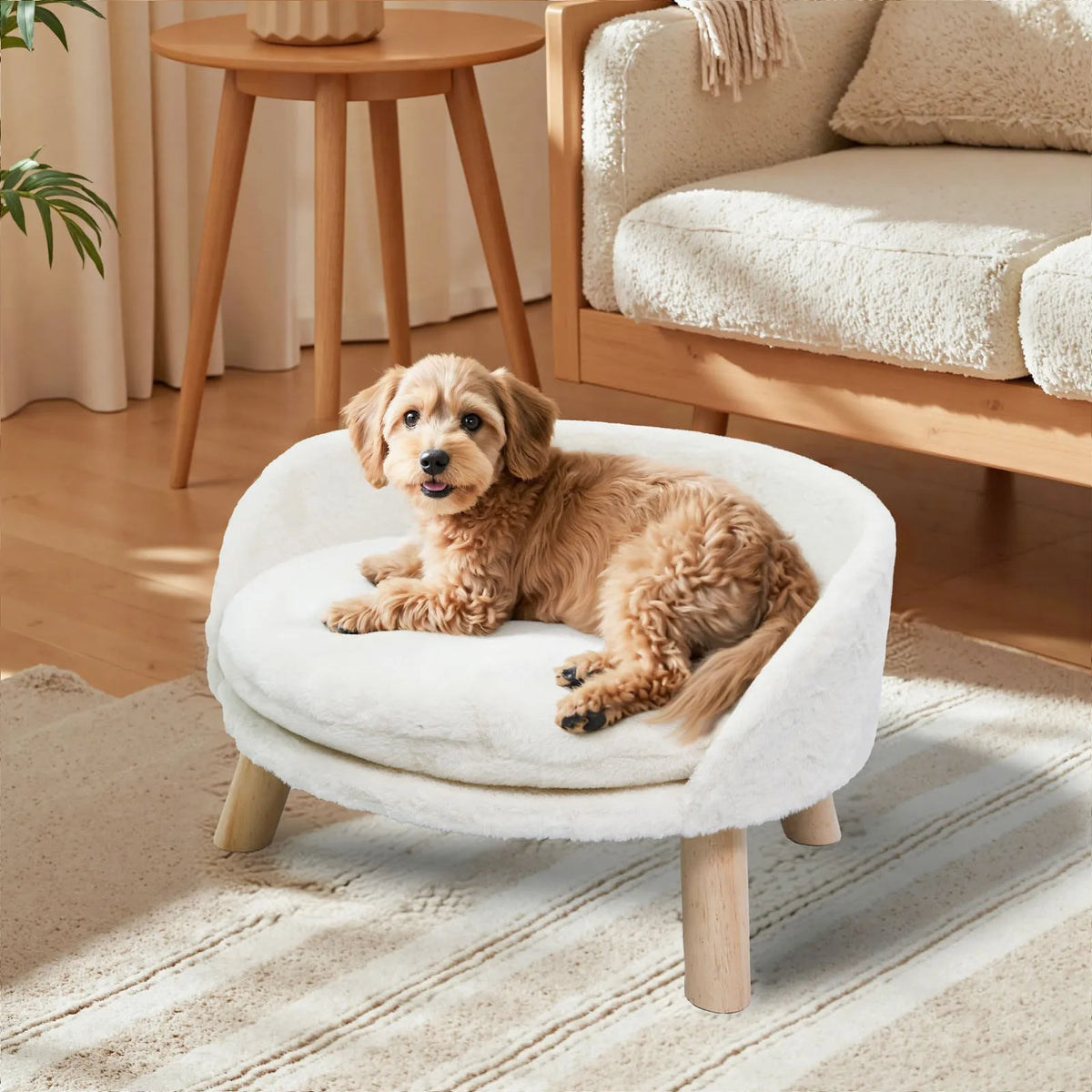 Borwart Removable Cover Padded Pet Sofa Bed With Waterproof Cushion