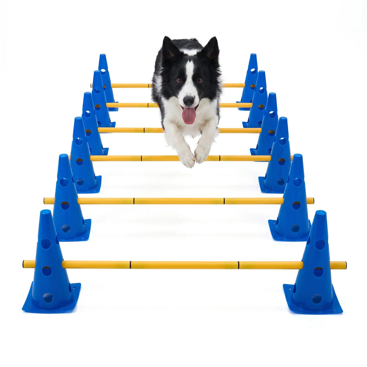 Dog Agility Training Set With Adjustable Hurdles And Training Cones