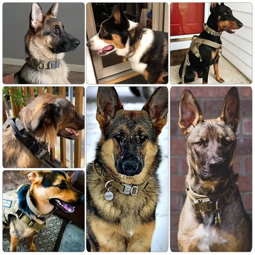 Adjustable Nylon Tactical Dog Collar And Leash Set