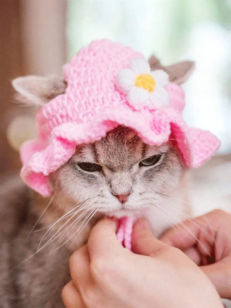 Warm Knitted Wool Pet Hat Featuring Floral Trim For Pets