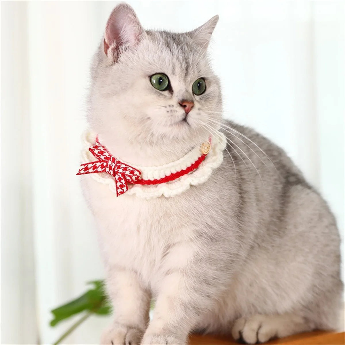Decorative Knitted Bow Knot Collar For Kittens And Puppies