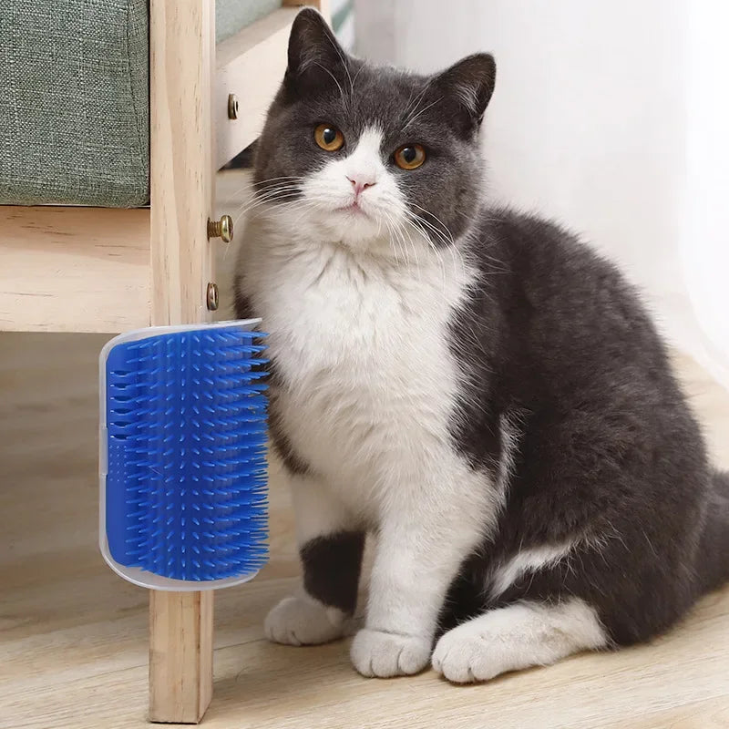 Cat Scratcher Massage Comb With Catnip For Pet Grooming